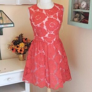 C. Luce Embroidered Dress Cottagecore